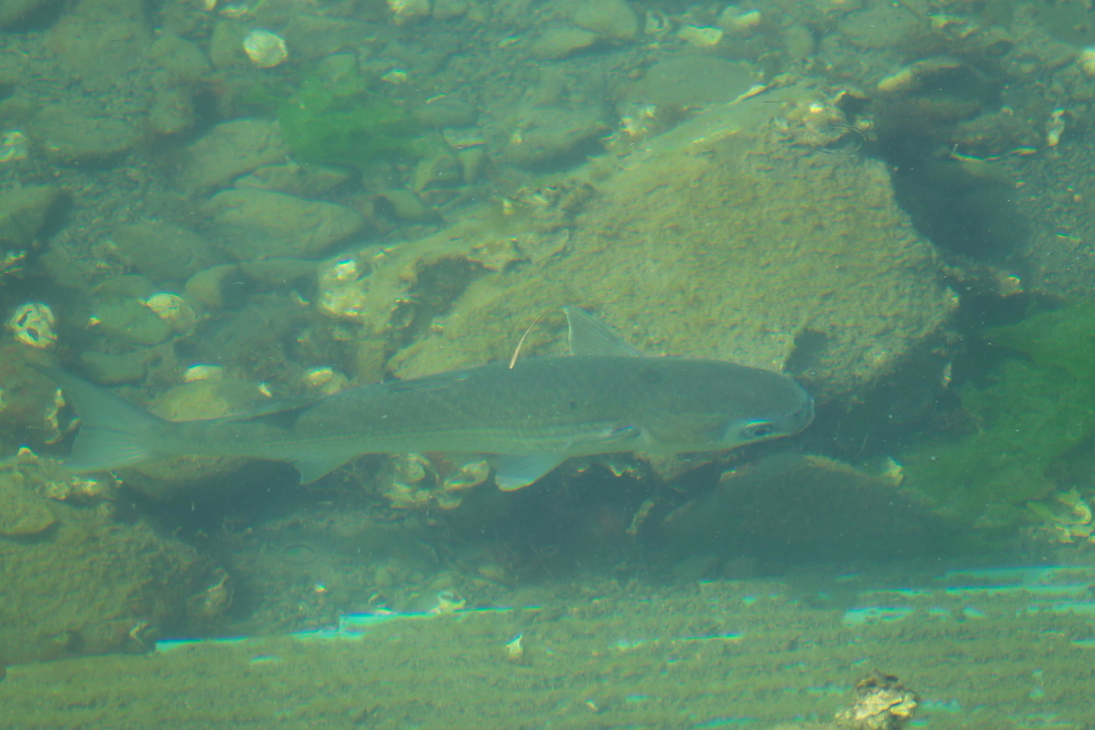 f:id:gan_jiro:20210420151538j:plain