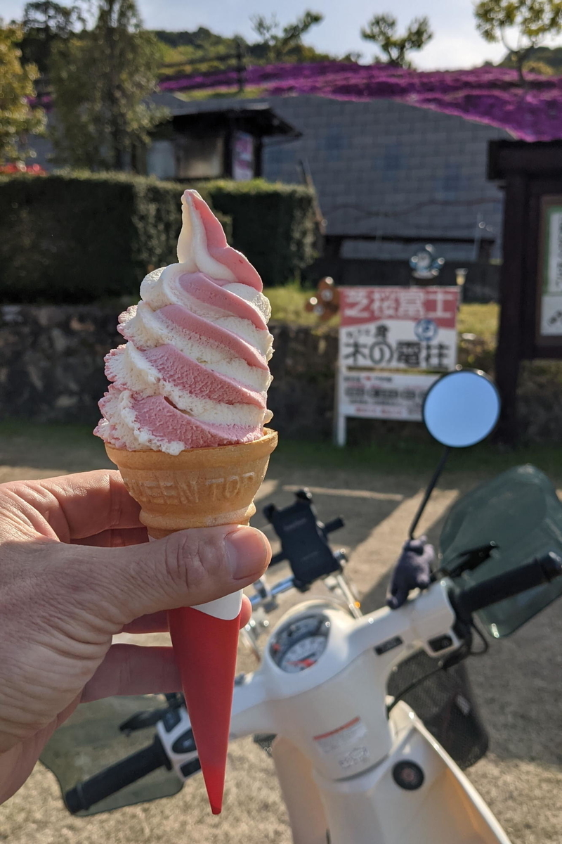 f:id:gan_jiro:20210420155614j:plain