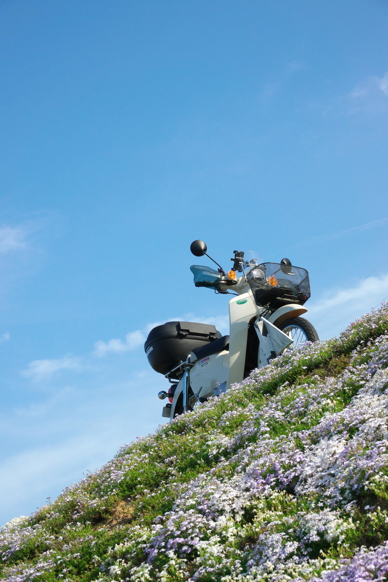 f:id:gan_jiro:20210420163224j:plain