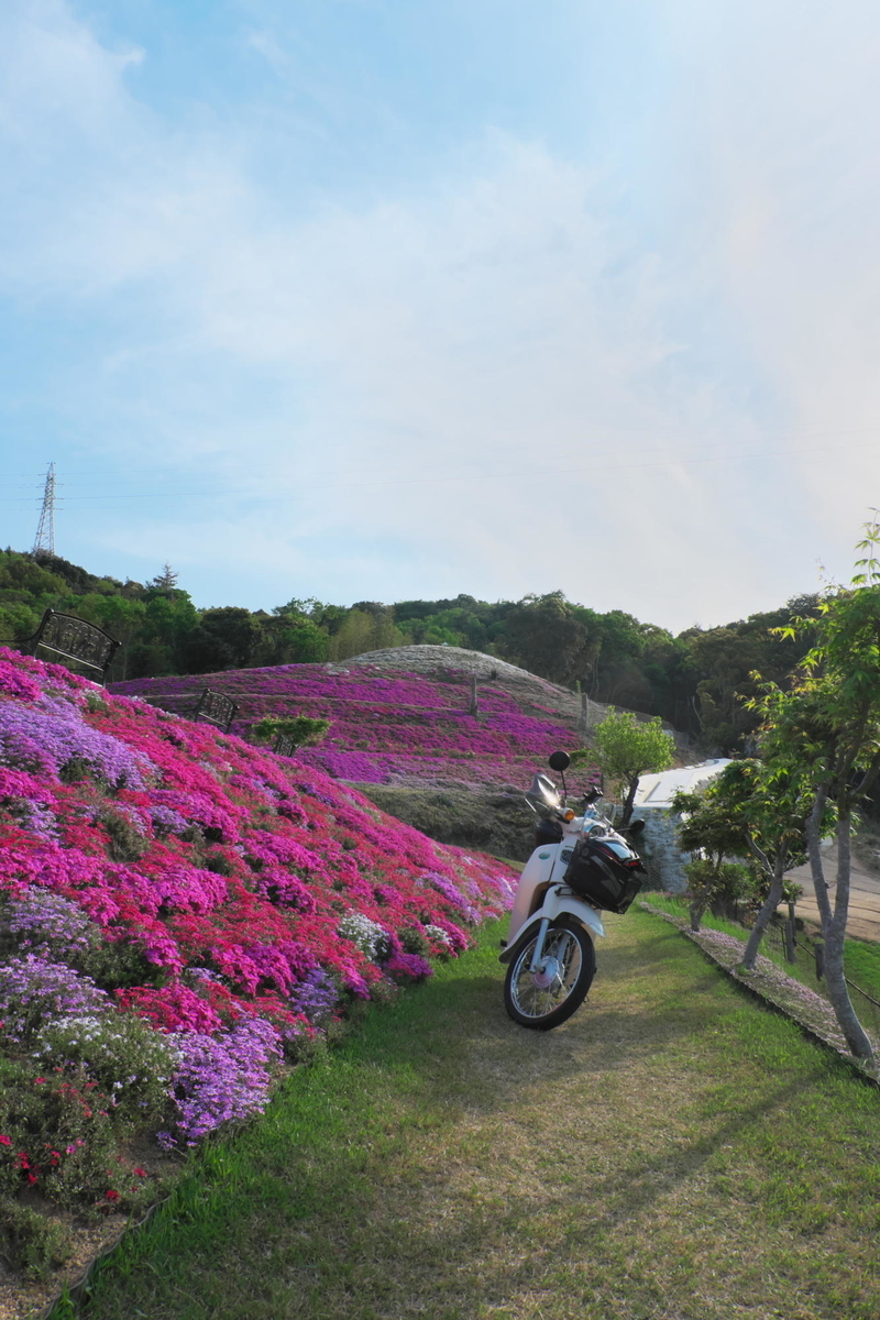 f:id:gan_jiro:20210420164307j:plain