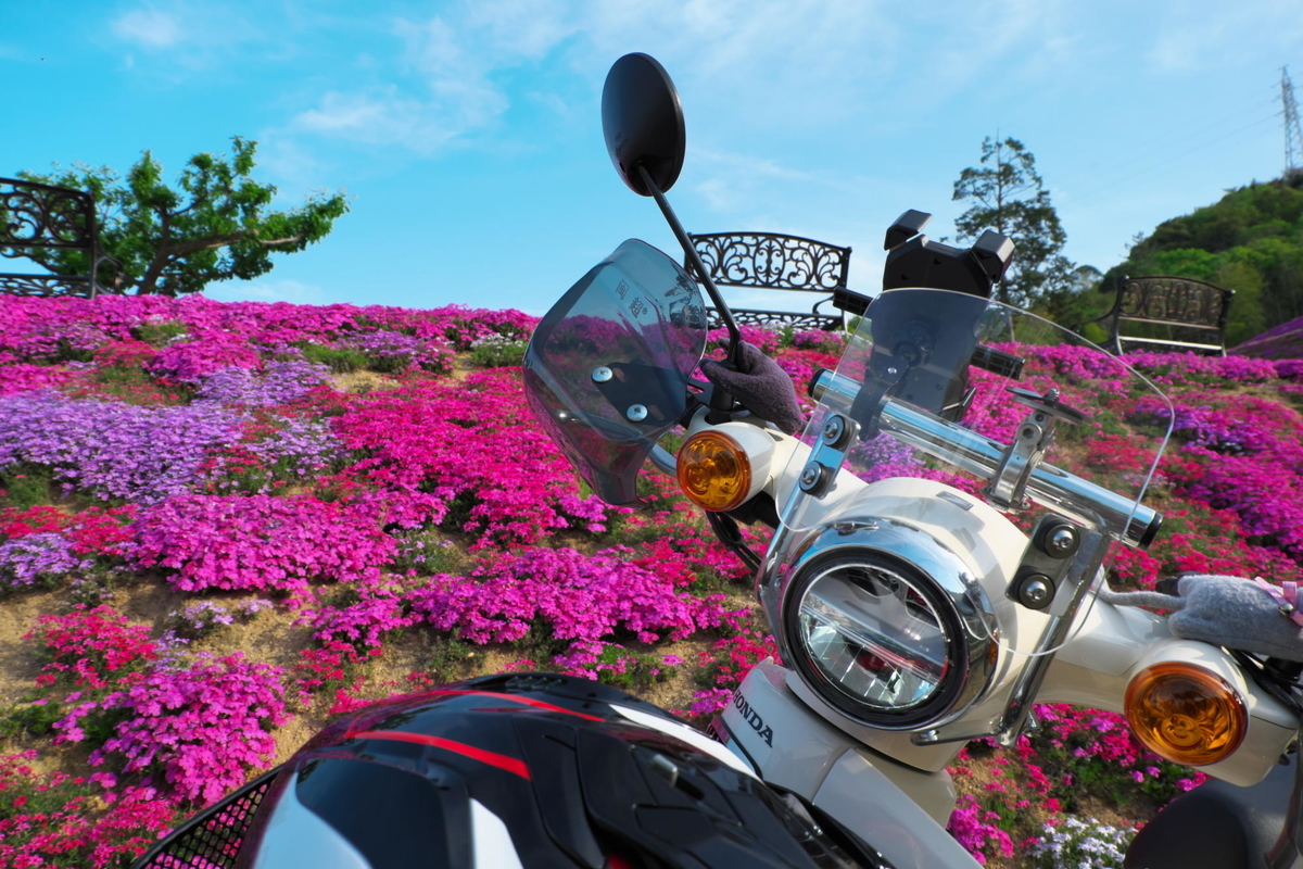 f:id:gan_jiro:20210420164321j:plain