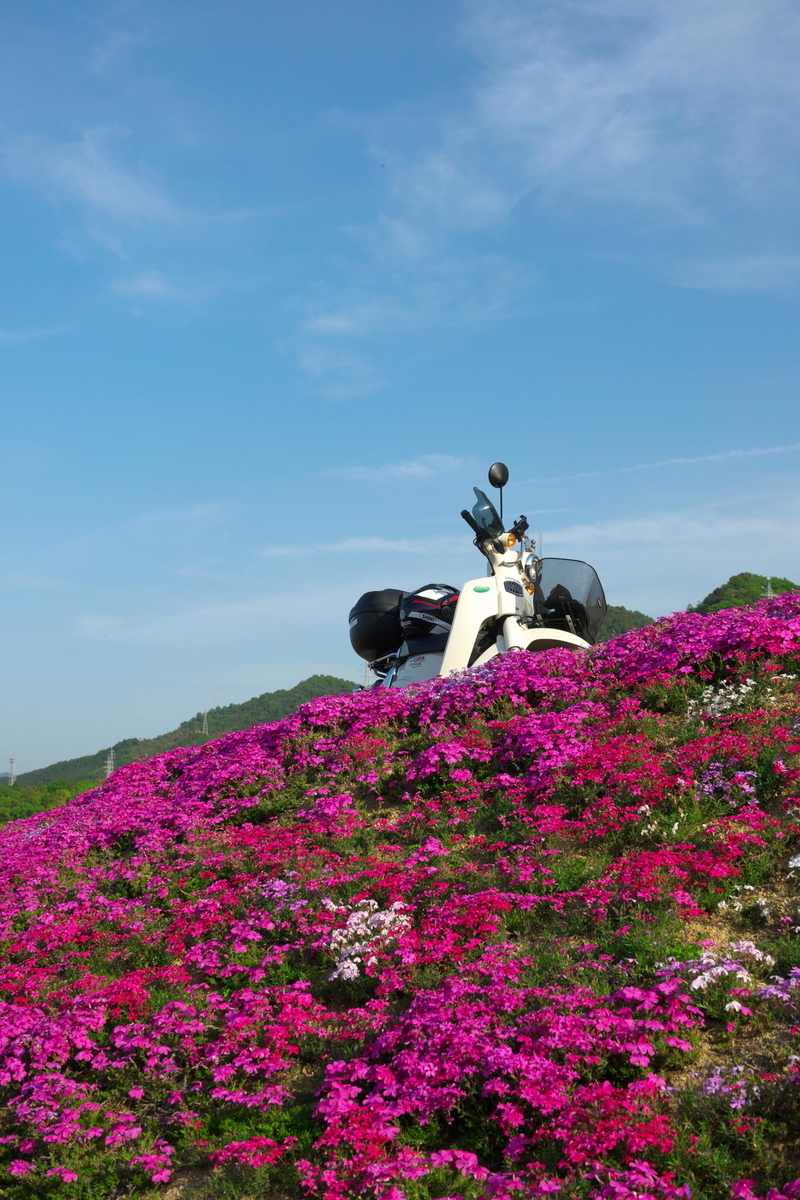 f:id:gan_jiro:20210420164622j:plain