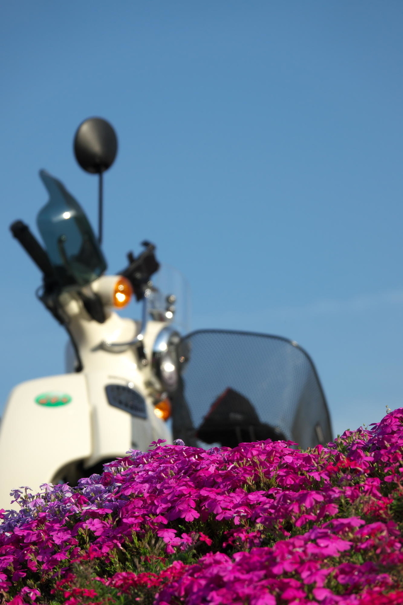 f:id:gan_jiro:20210420164638j:plain