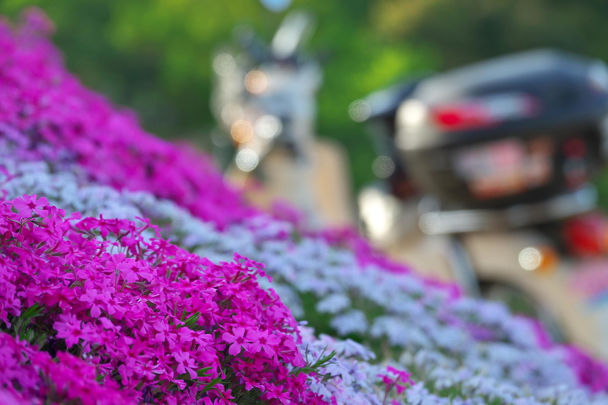 f:id:gan_jiro:20210420164812j:plain