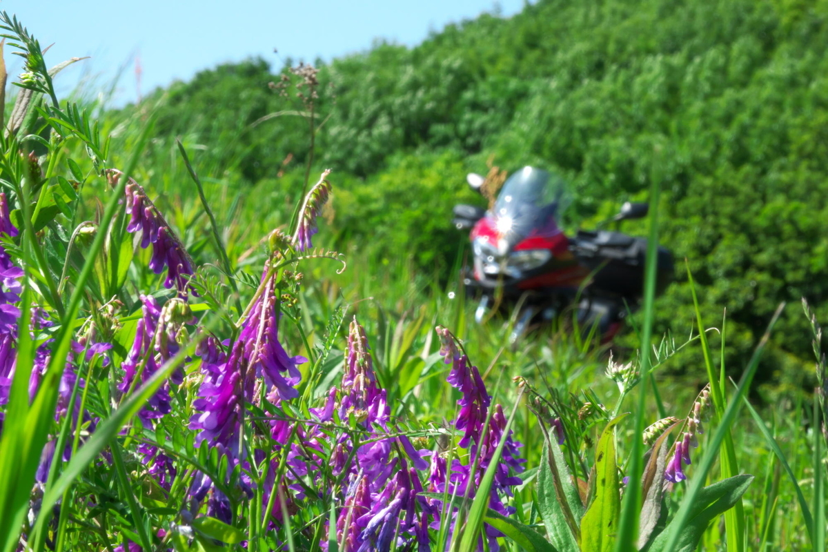 f:id:gan_jiro:20210503140406j:plain