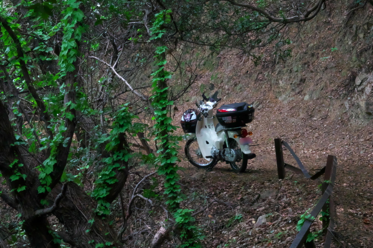 f:id:gan_jiro:20210508115843j:plain