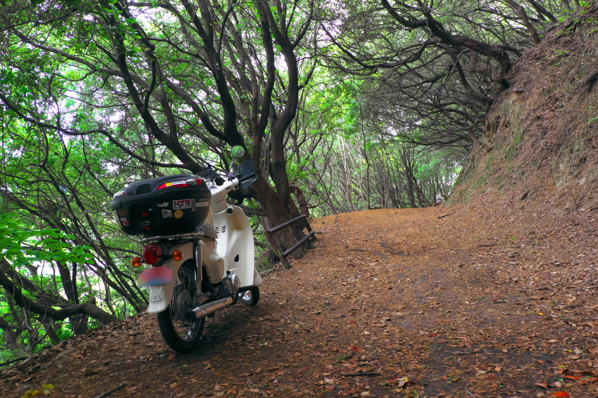 f:id:gan_jiro:20210508120419j:plain