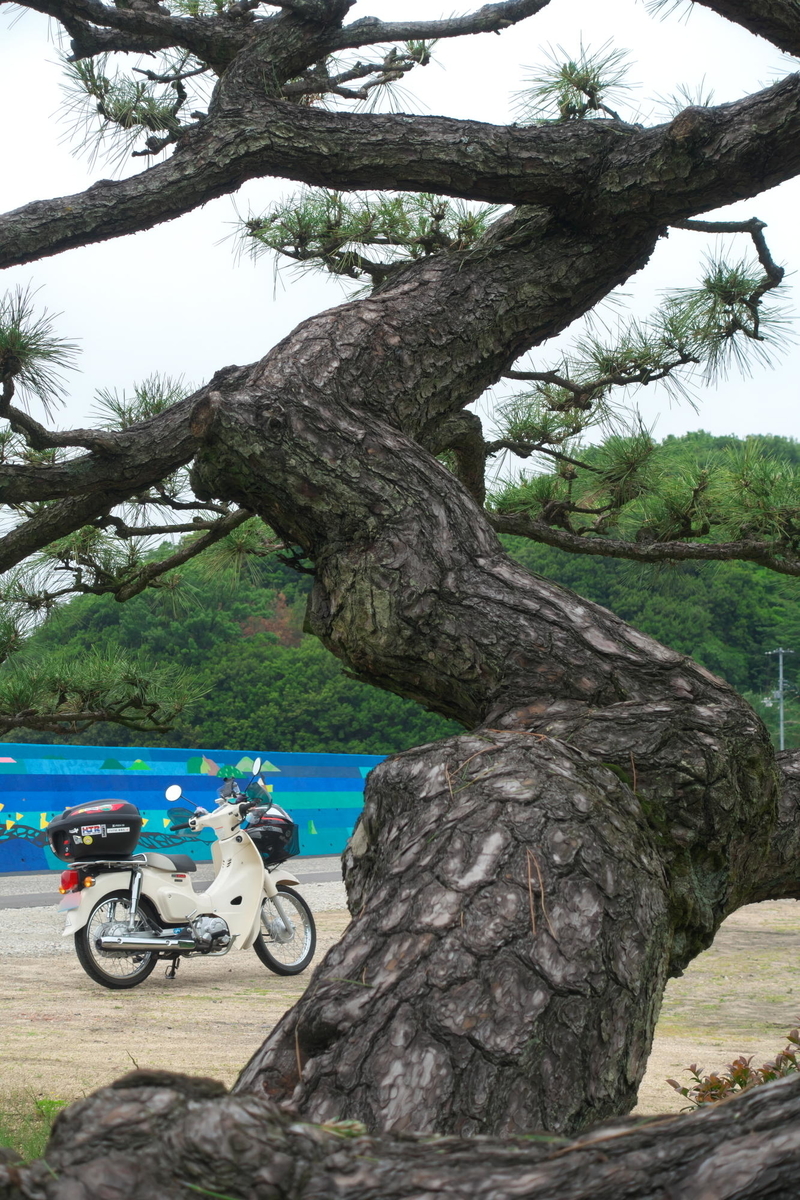 f:id:gan_jiro:20210508120913j:plain