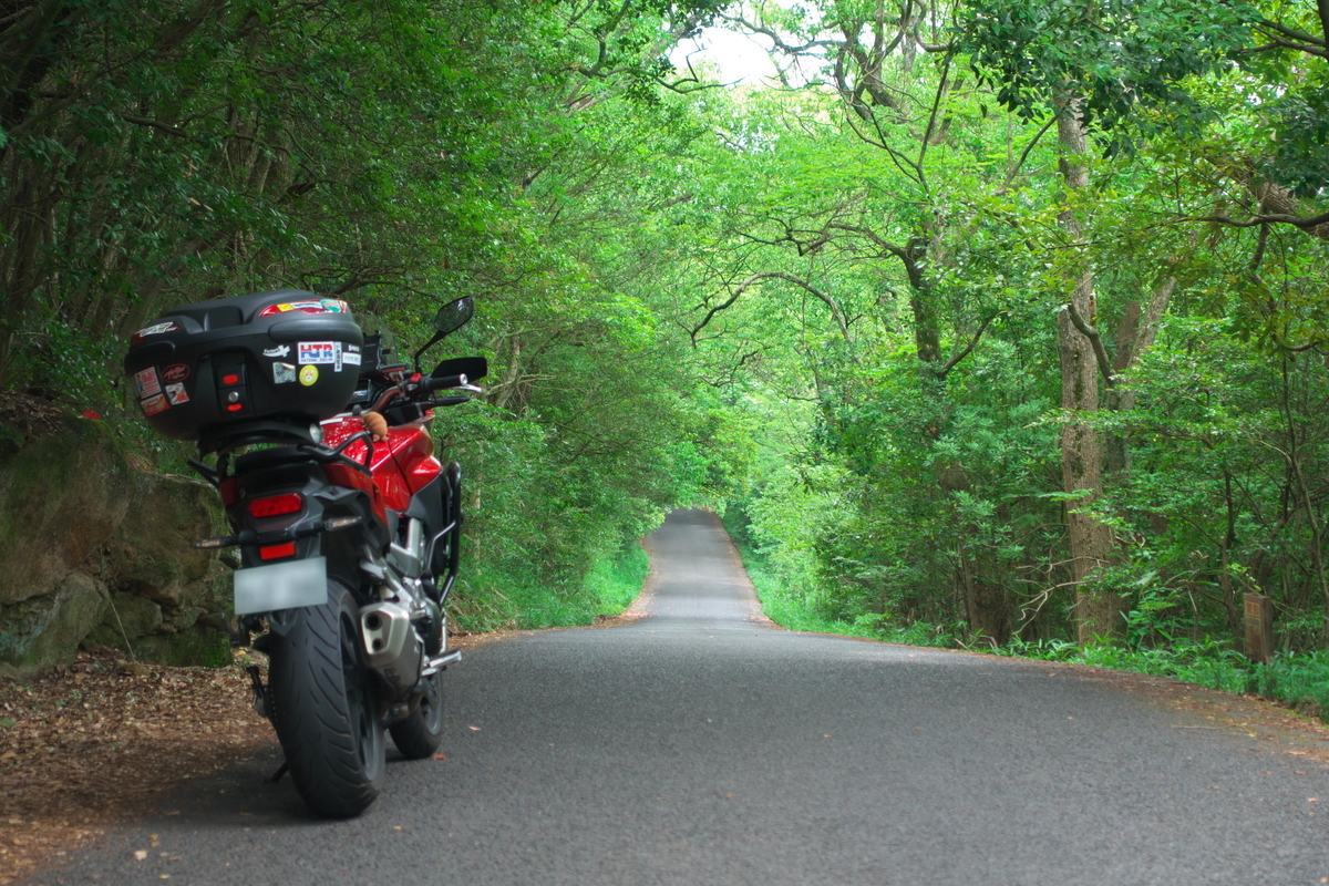 f:id:gan_jiro:20210615105430j:plain