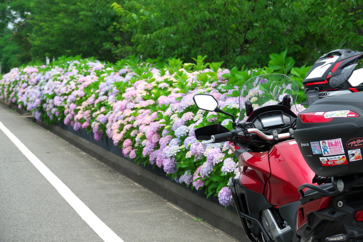 f:id:gan_jiro:20210615114043j:plain