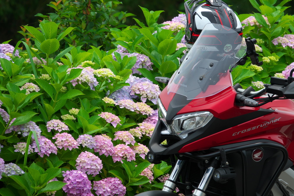 f:id:gan_jiro:20210615114347j:plain