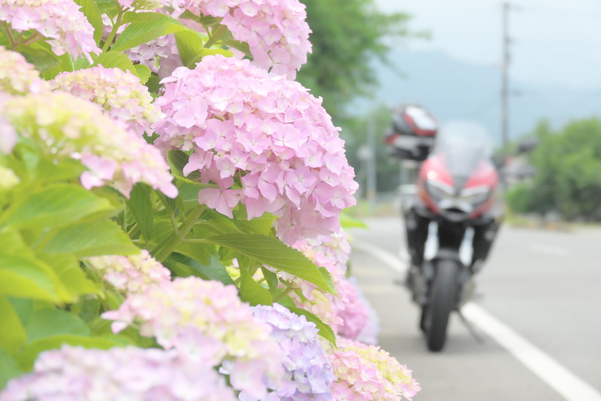 f:id:gan_jiro:20210615114436j:plain