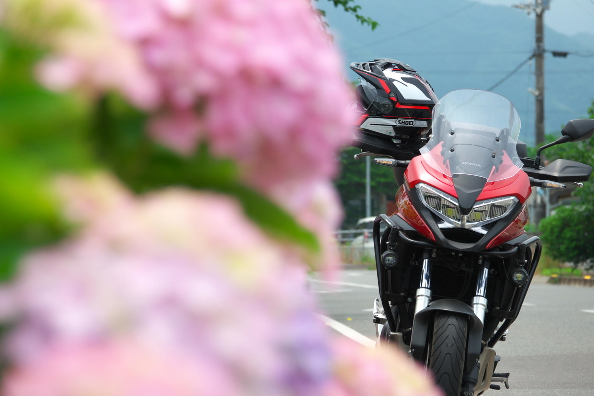 f:id:gan_jiro:20210615114508j:plain