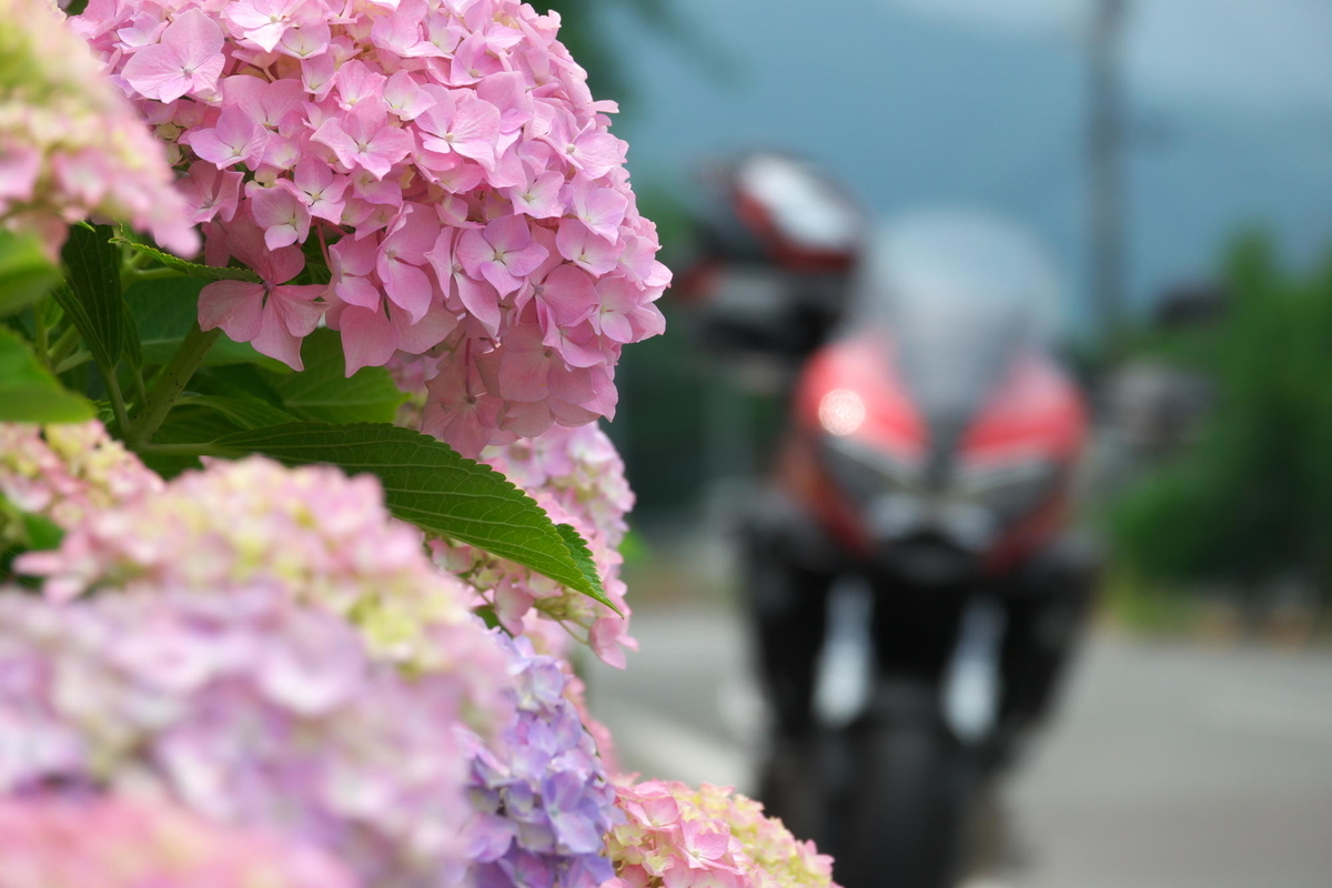 f:id:gan_jiro:20210615114519j:plain