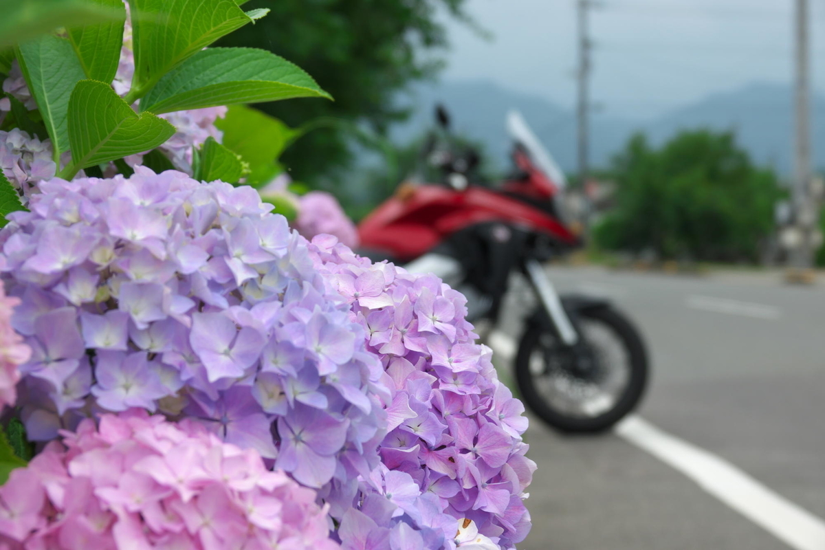 f:id:gan_jiro:20210615114901j:plain