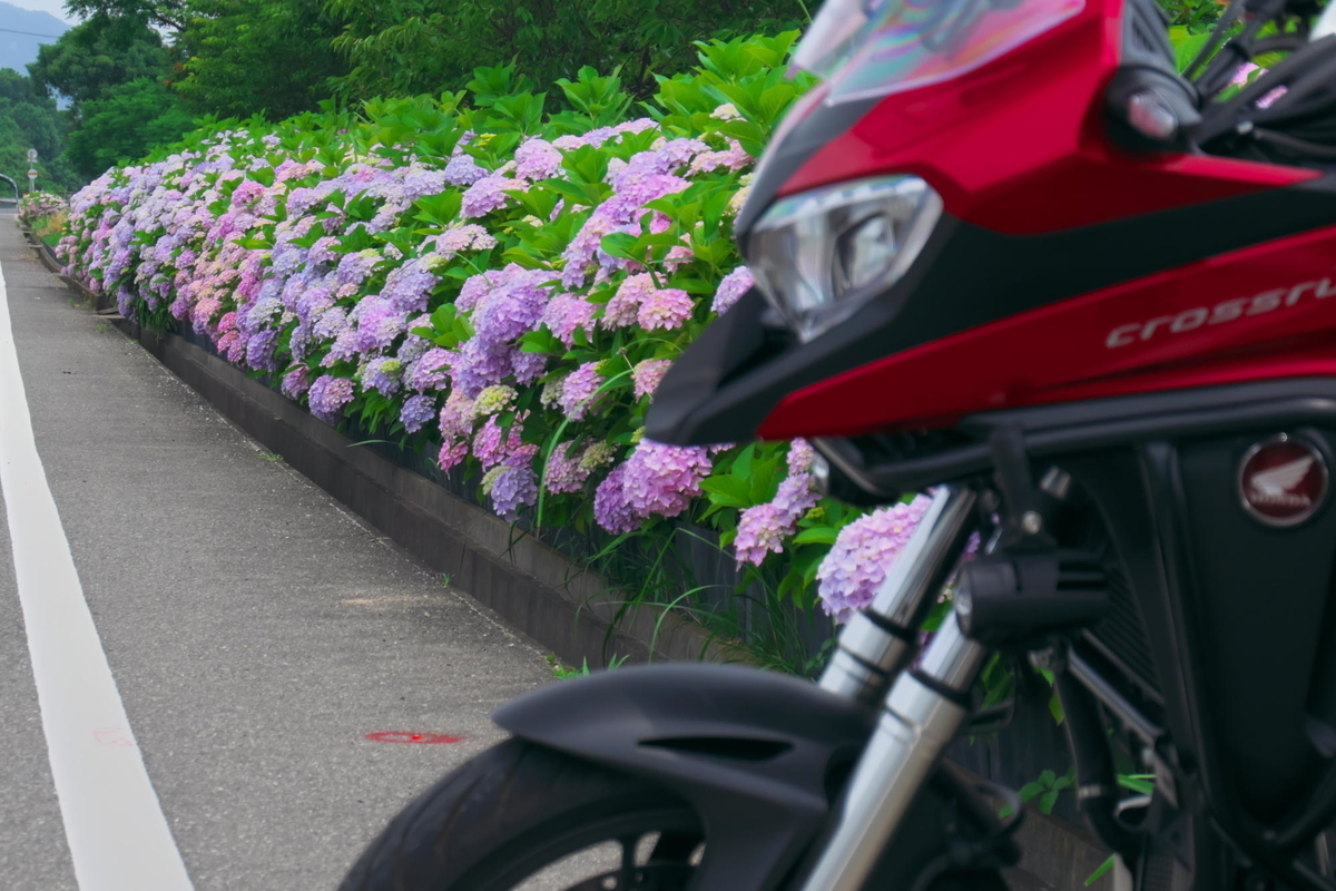 f:id:gan_jiro:20210615115630j:plain