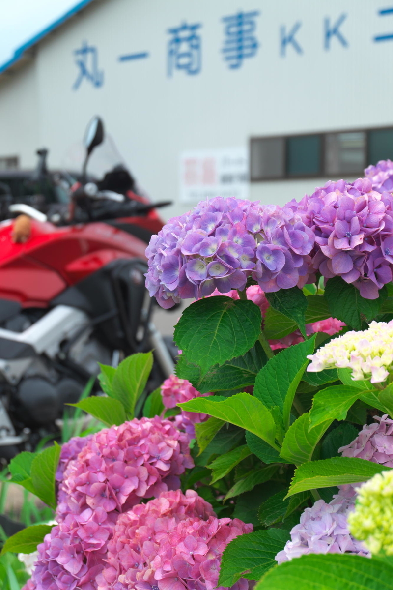 f:id:gan_jiro:20210615115646j:plain