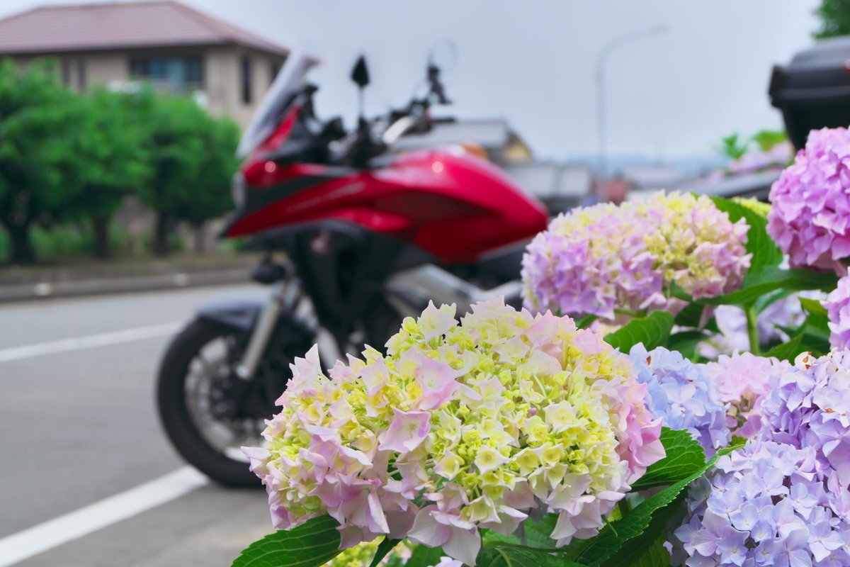 f:id:gan_jiro:20210615115759j:plain