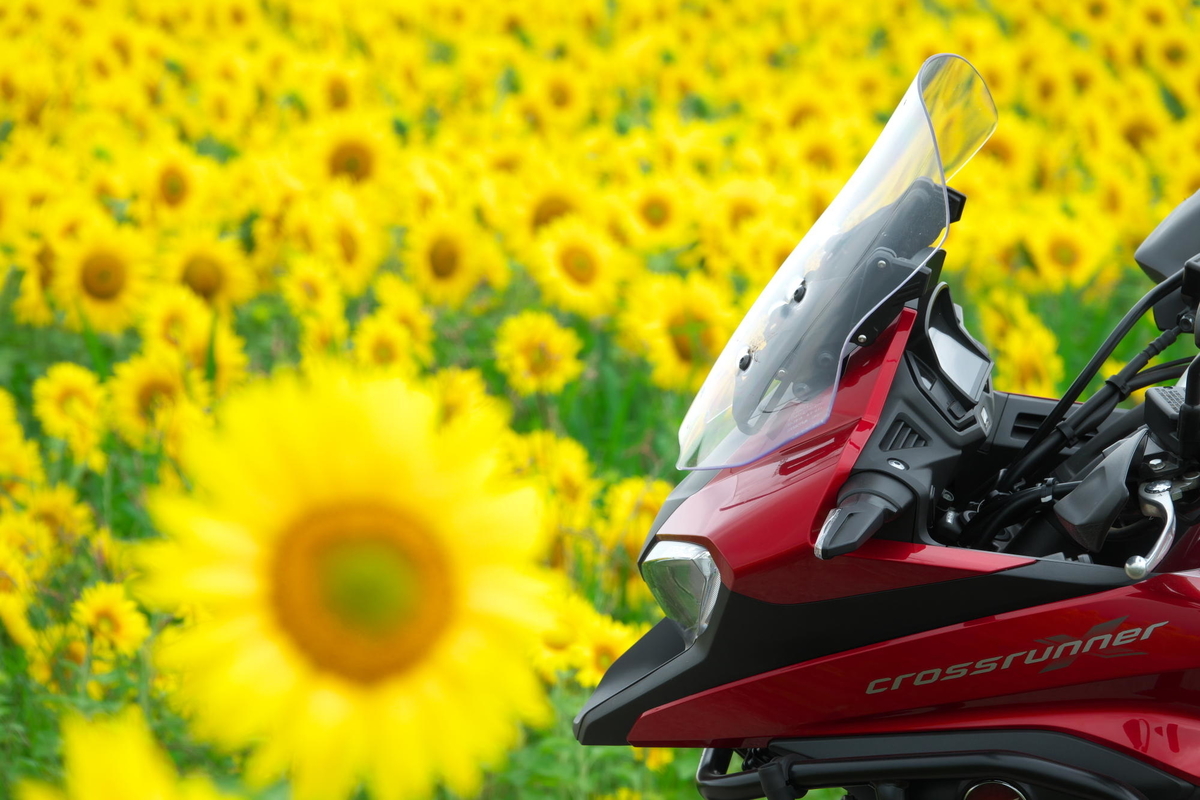 f:id:gan_jiro:20210615122710j:plain