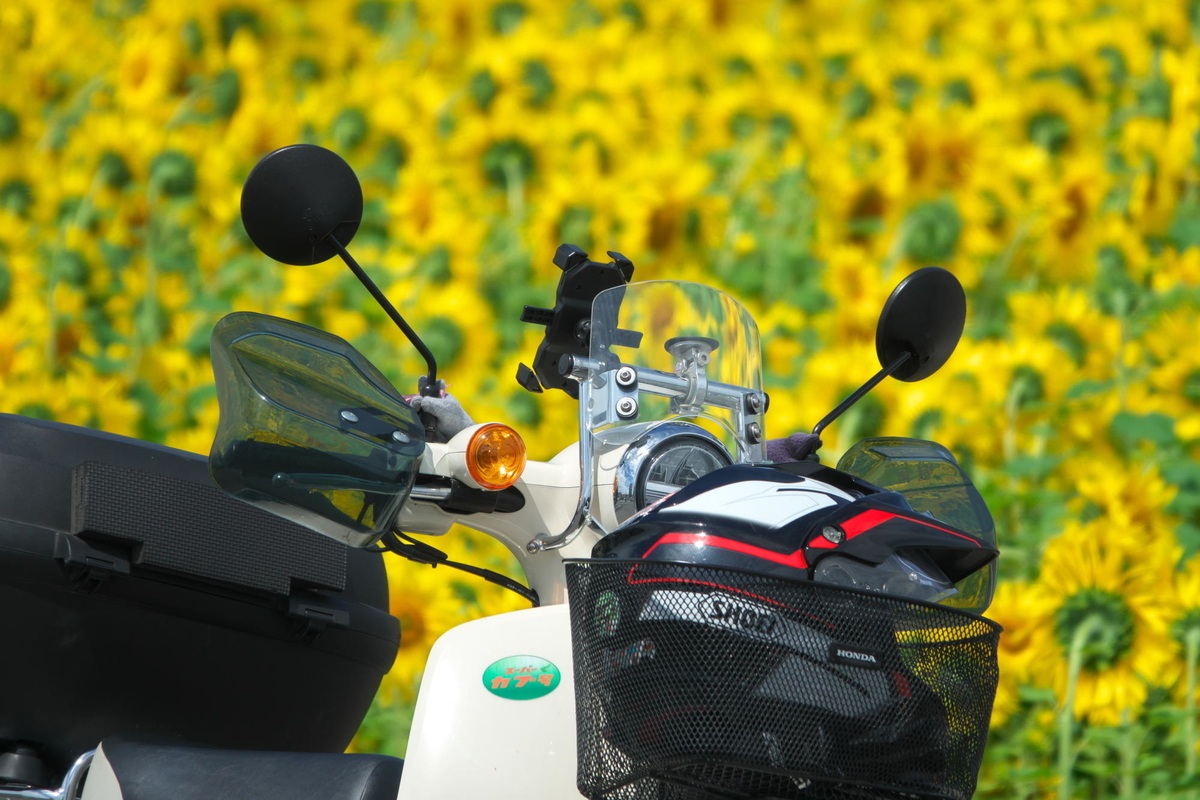 f:id:gan_jiro:20210620135753j:plain