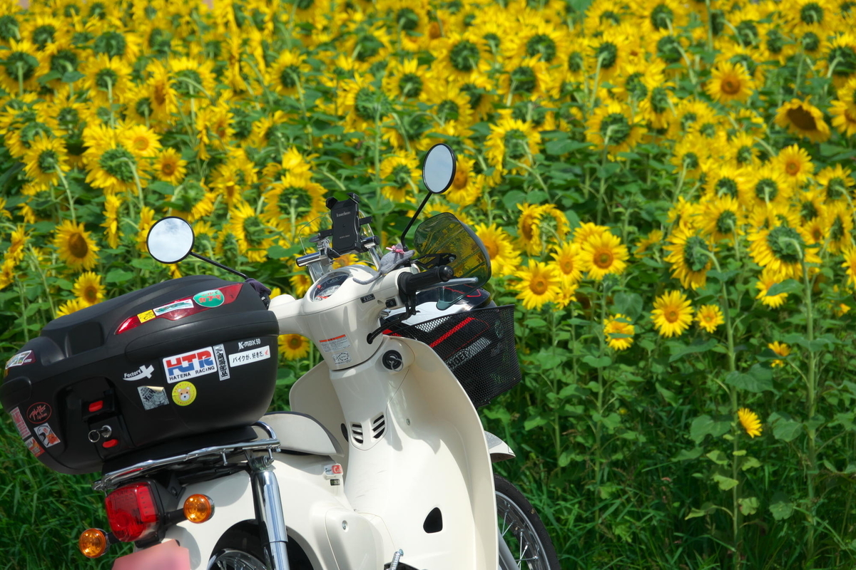 f:id:gan_jiro:20210620140056j:plain