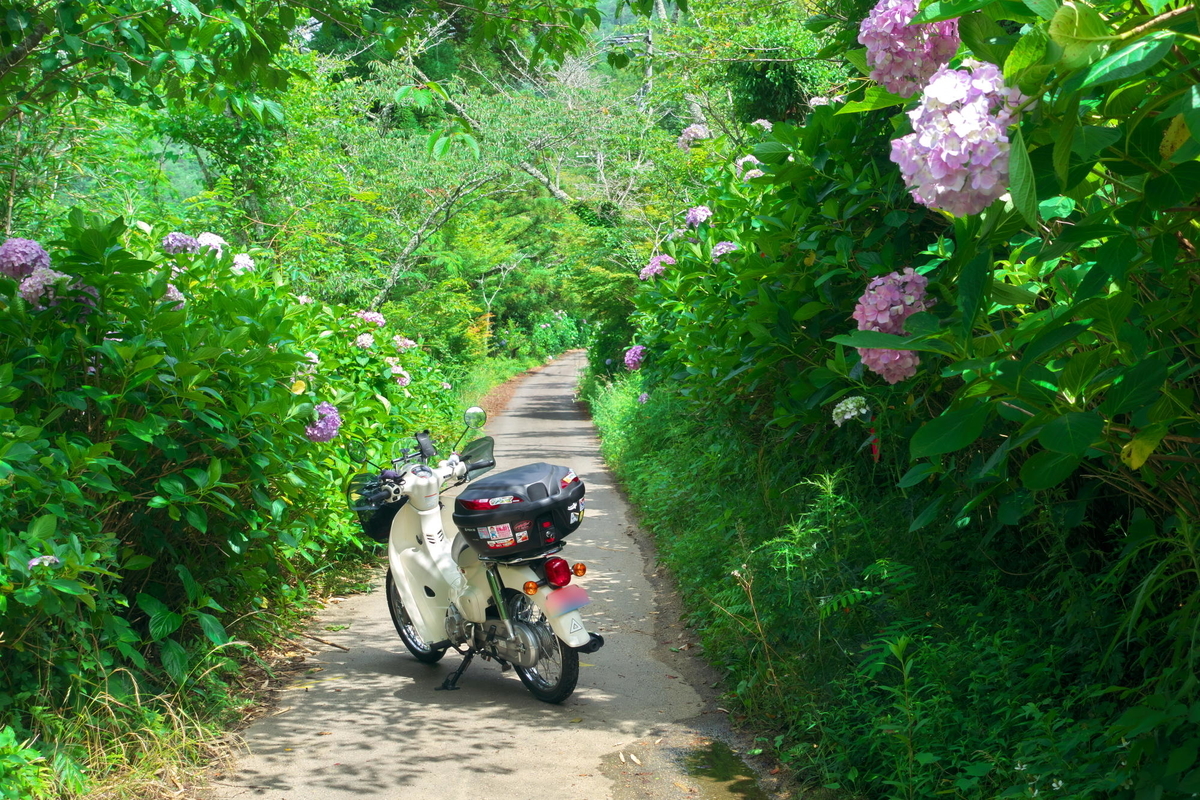 f:id:gan_jiro:20210620142726j:plain