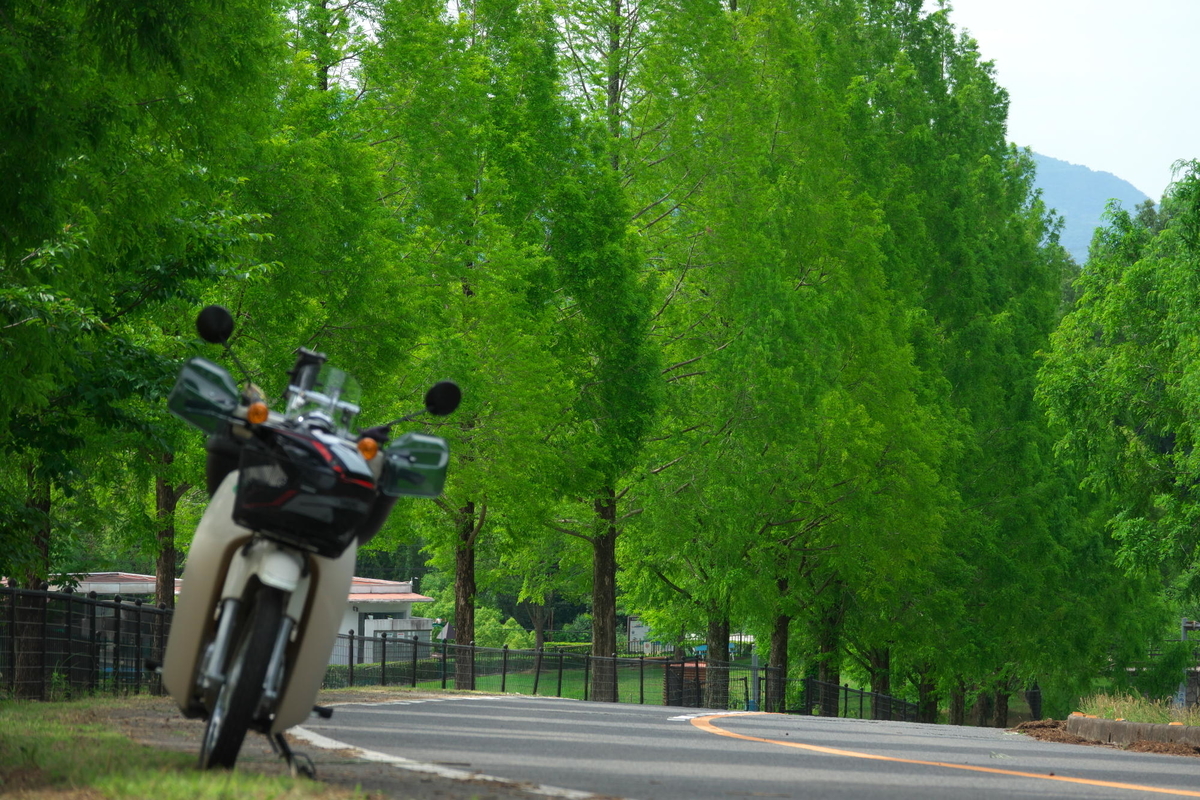 f:id:gan_jiro:20210620145641j:plain