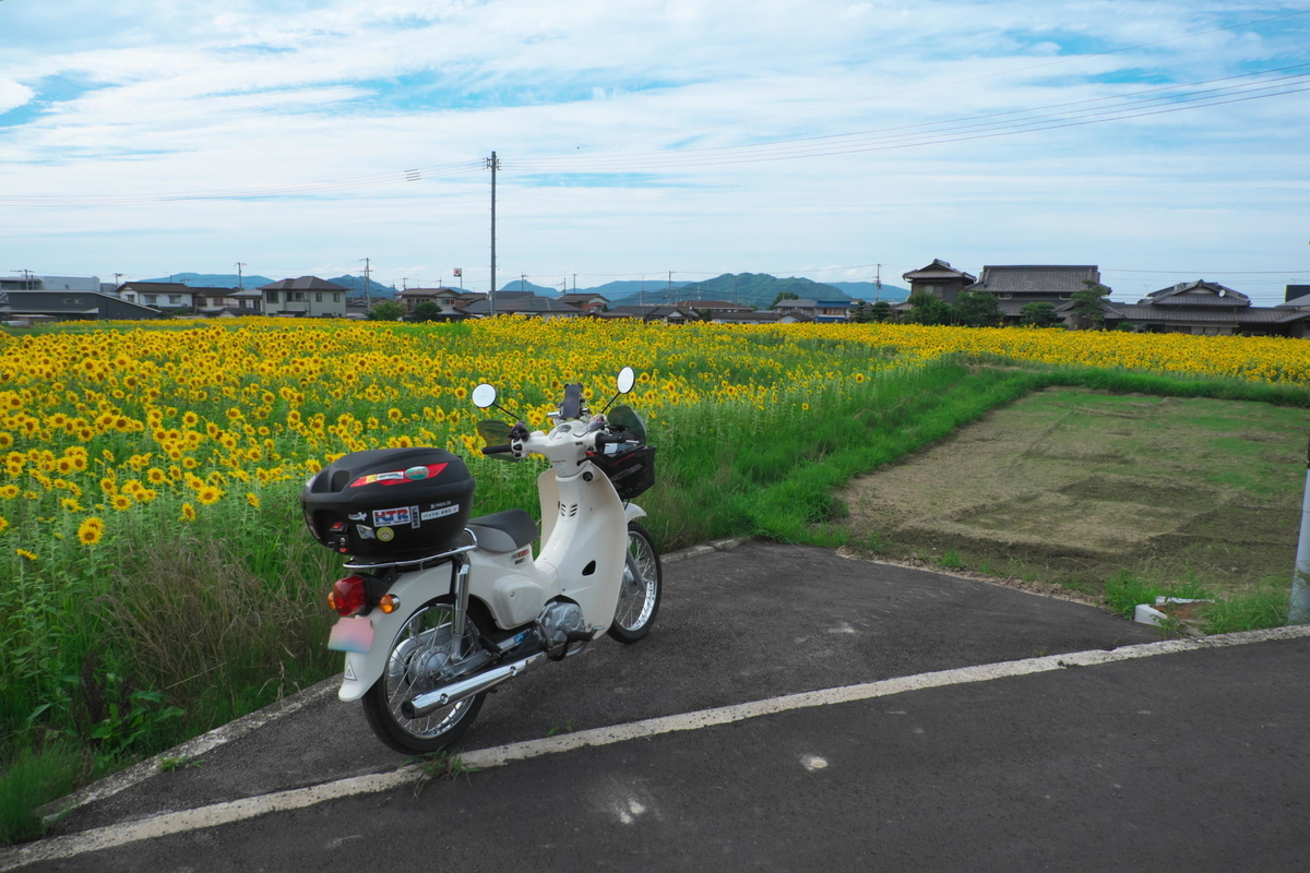 f:id:gan_jiro:20210620151149j:plain