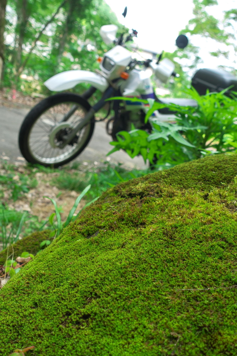 f:id:gan_jiro:20210704150140j:plain