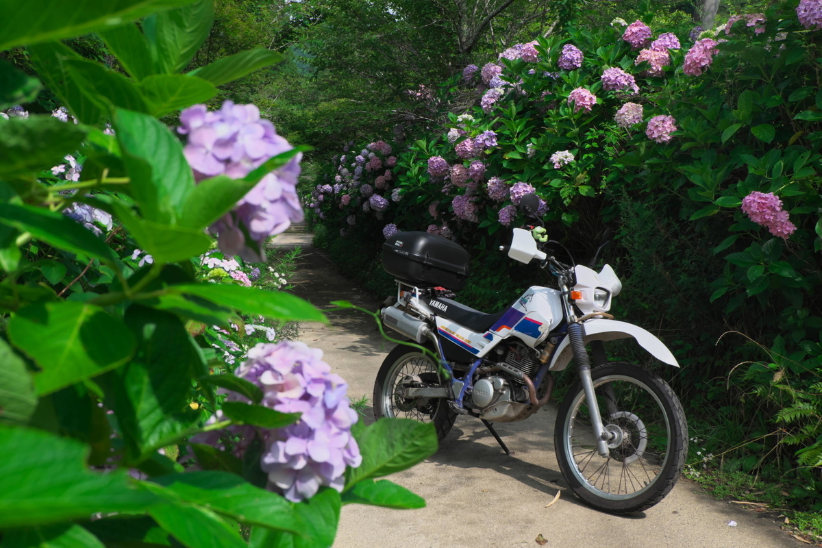 f:id:gan_jiro:20210704150824j:plain