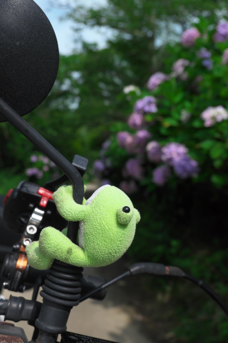 f:id:gan_jiro:20210704150934j:plain