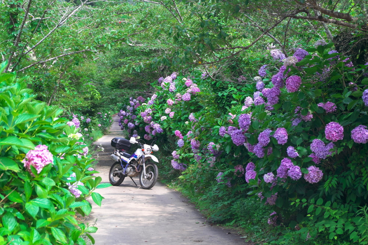 f:id:gan_jiro:20210704151050j:plain