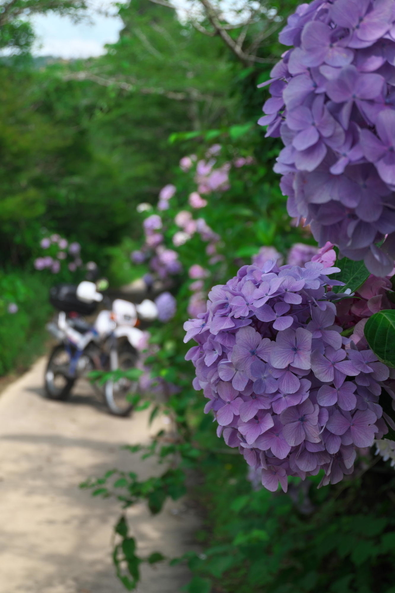 f:id:gan_jiro:20210704151130j:plain