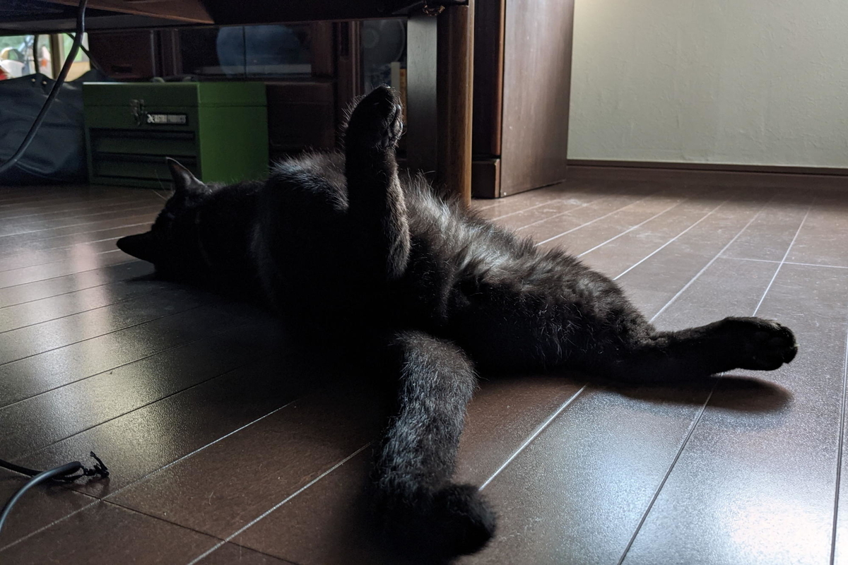 f:id:gan_jiro:20210704173134j:plain