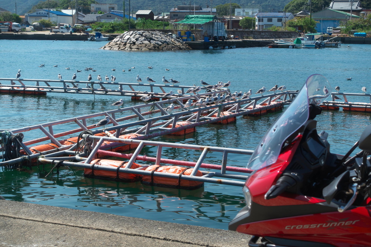 f:id:gan_jiro:20211002110144j:plain