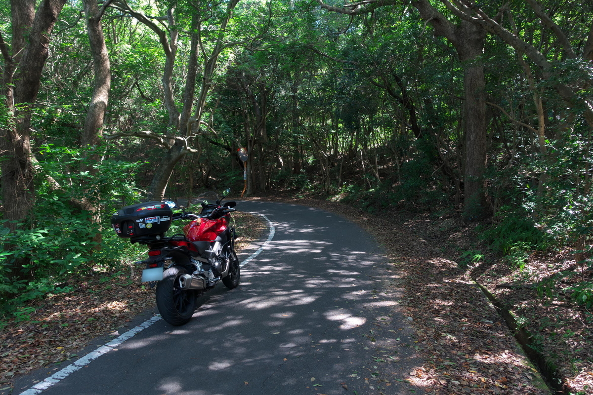 f:id:gan_jiro:20211002113835j:plain