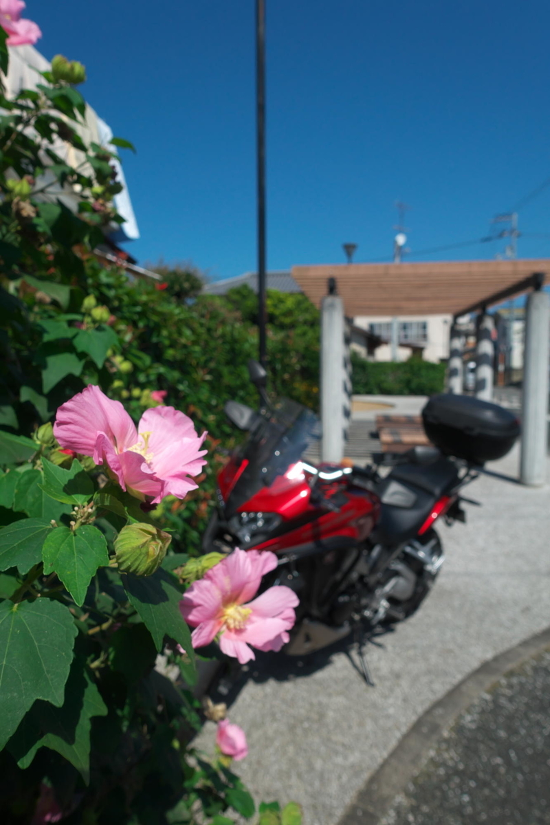 f:id:gan_jiro:20211002115030j:plain