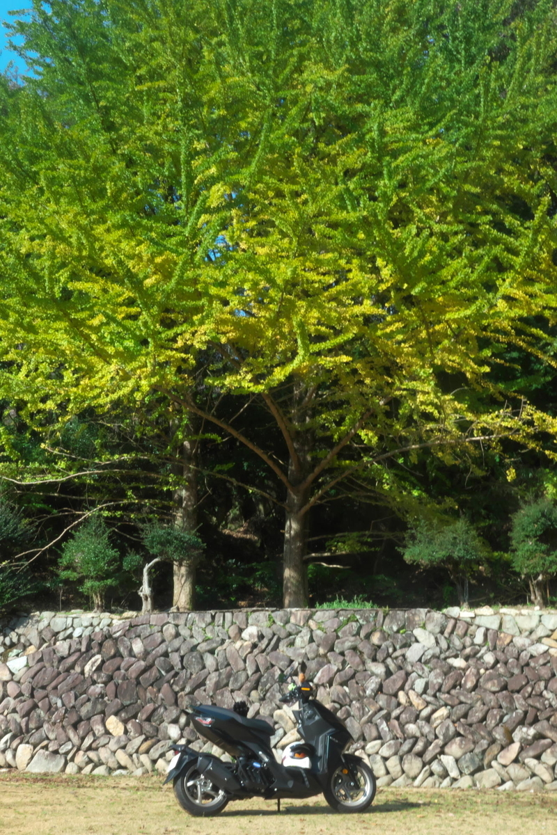 f:id:gan_jiro:20211116095506j:plain