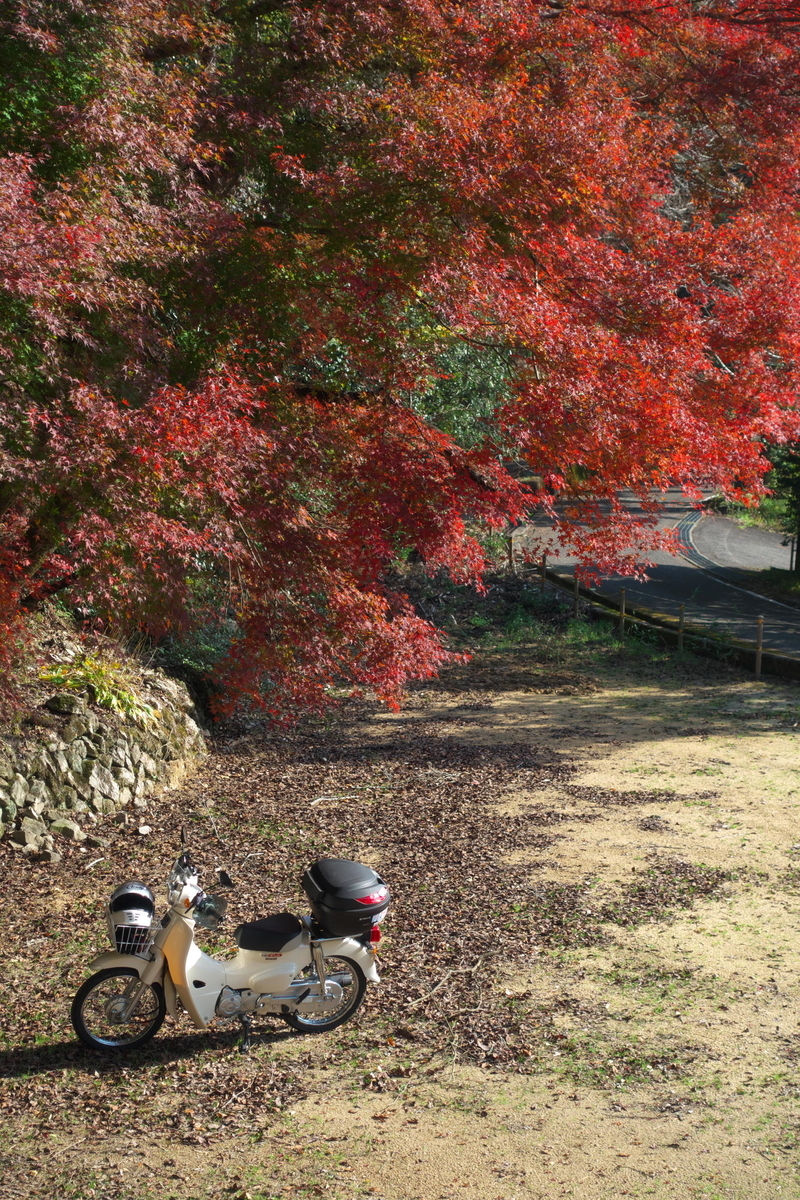 f:id:gan_jiro:20211116100147j:plain