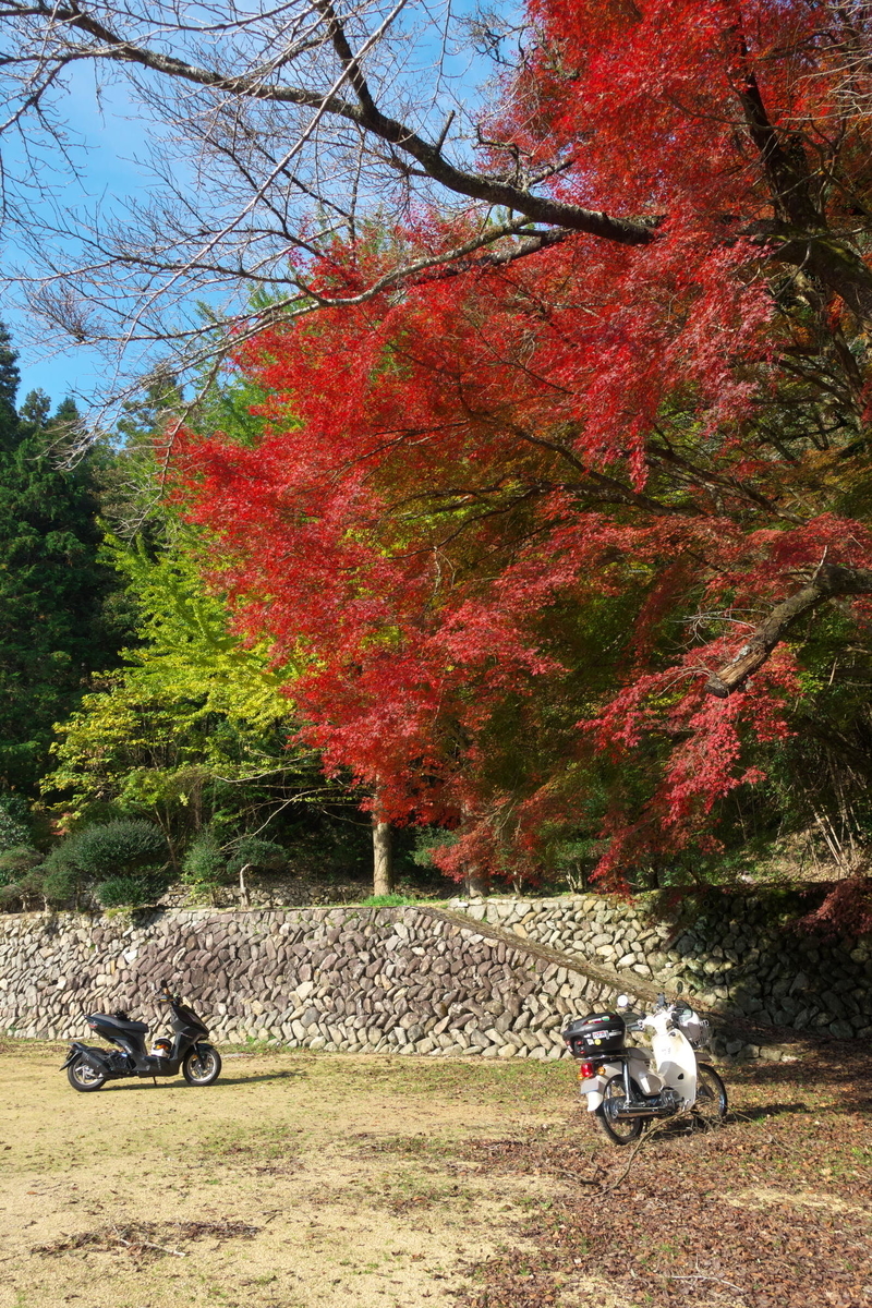 f:id:gan_jiro:20211116100354j:plain