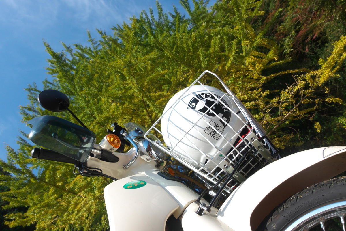 f:id:gan_jiro:20211116100527j:plain