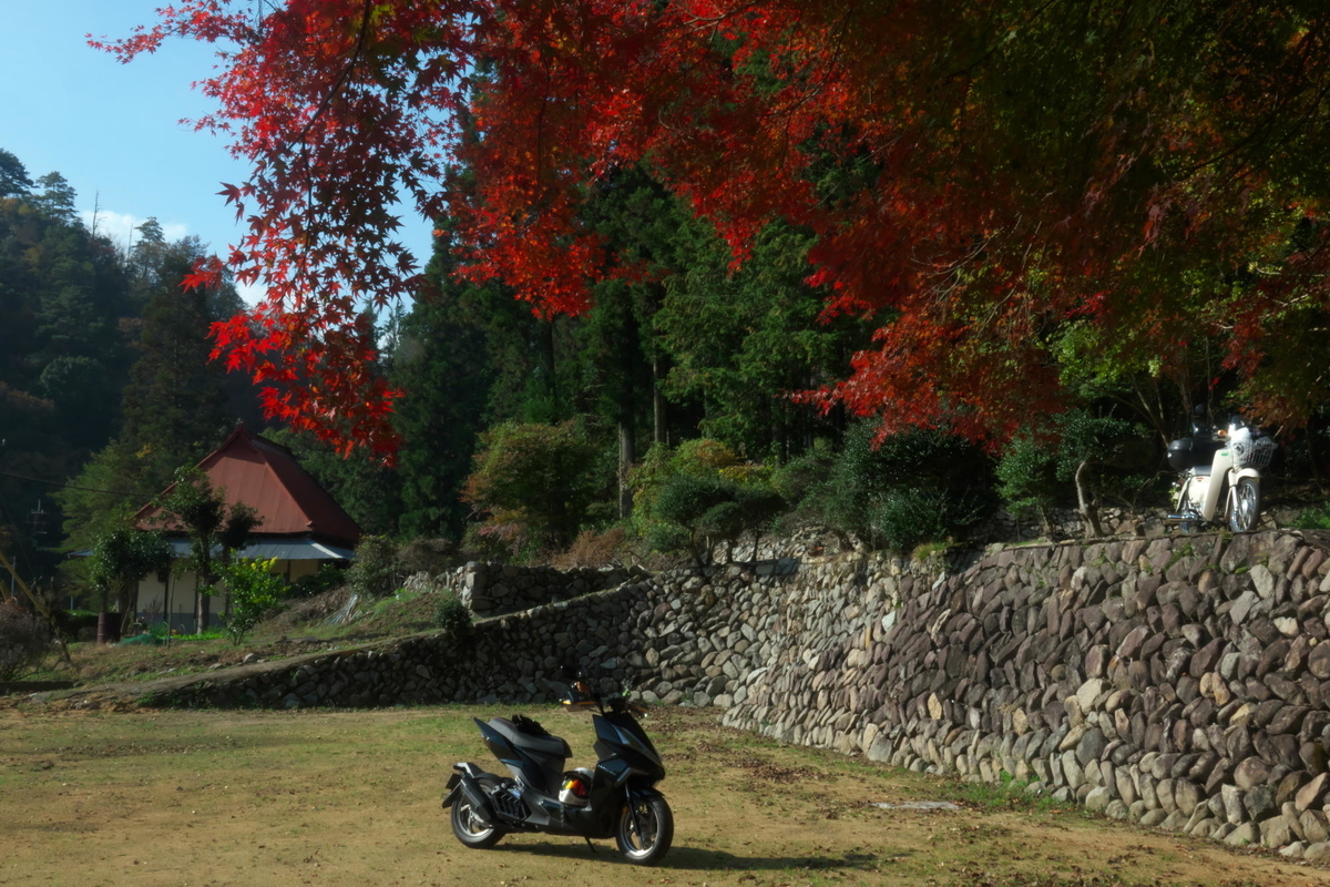 f:id:gan_jiro:20211116100544j:plain