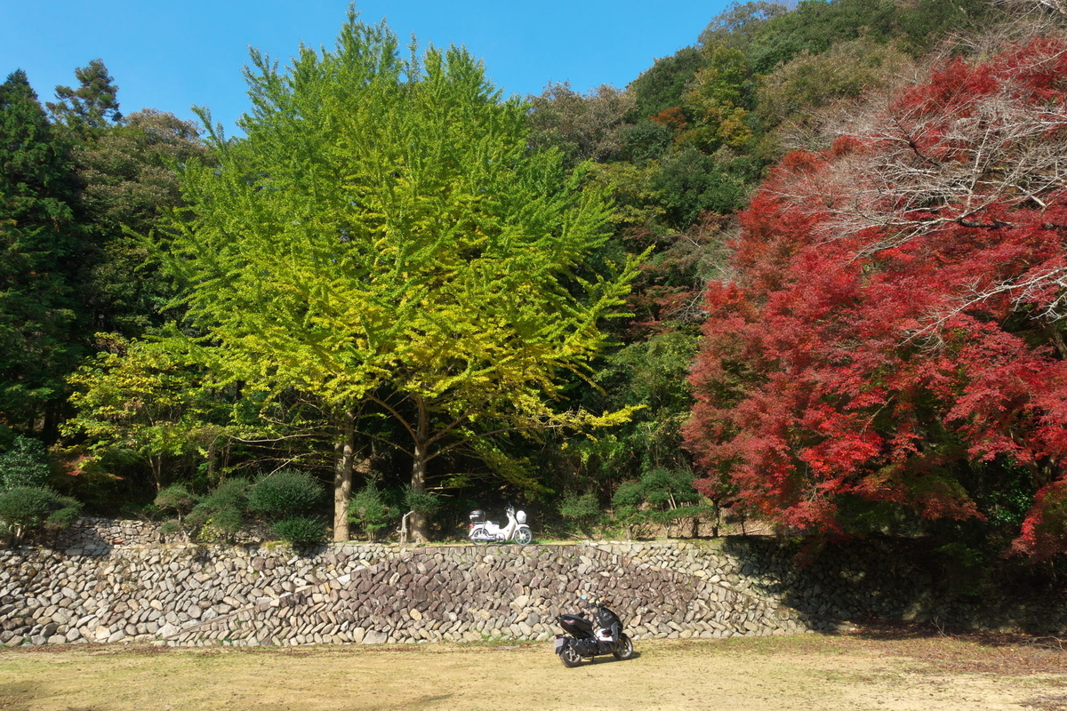 f:id:gan_jiro:20211116100639j:plain