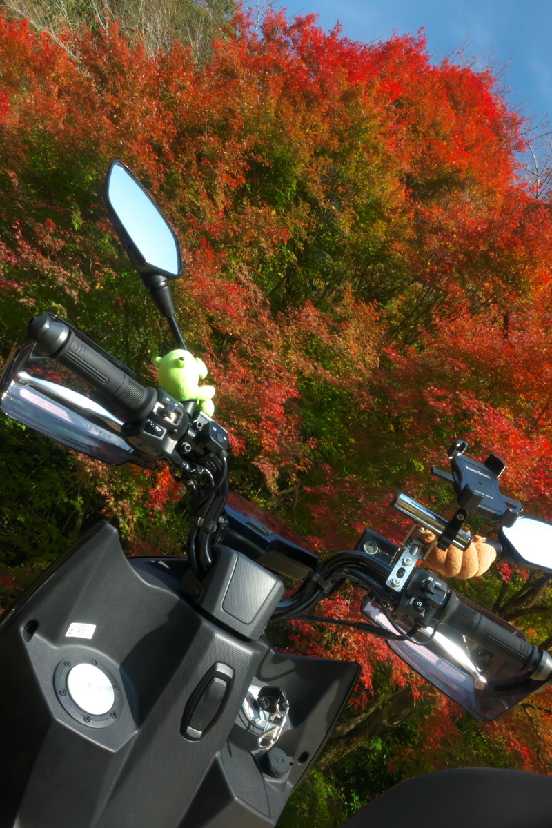 f:id:gan_jiro:20211116100723j:plain