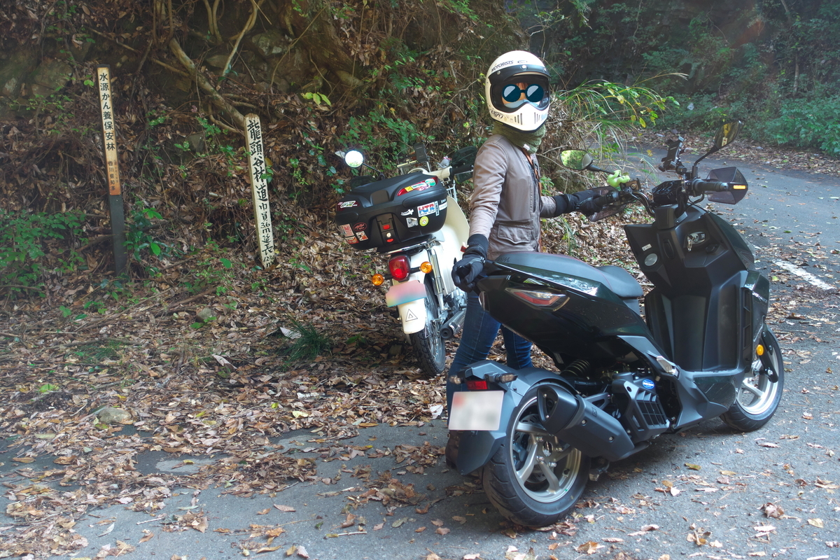 f:id:gan_jiro:20211116103211j:plain