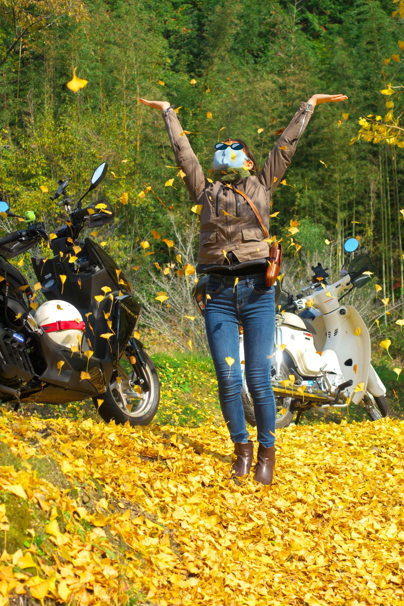 f:id:gan_jiro:20211116112029j:plain