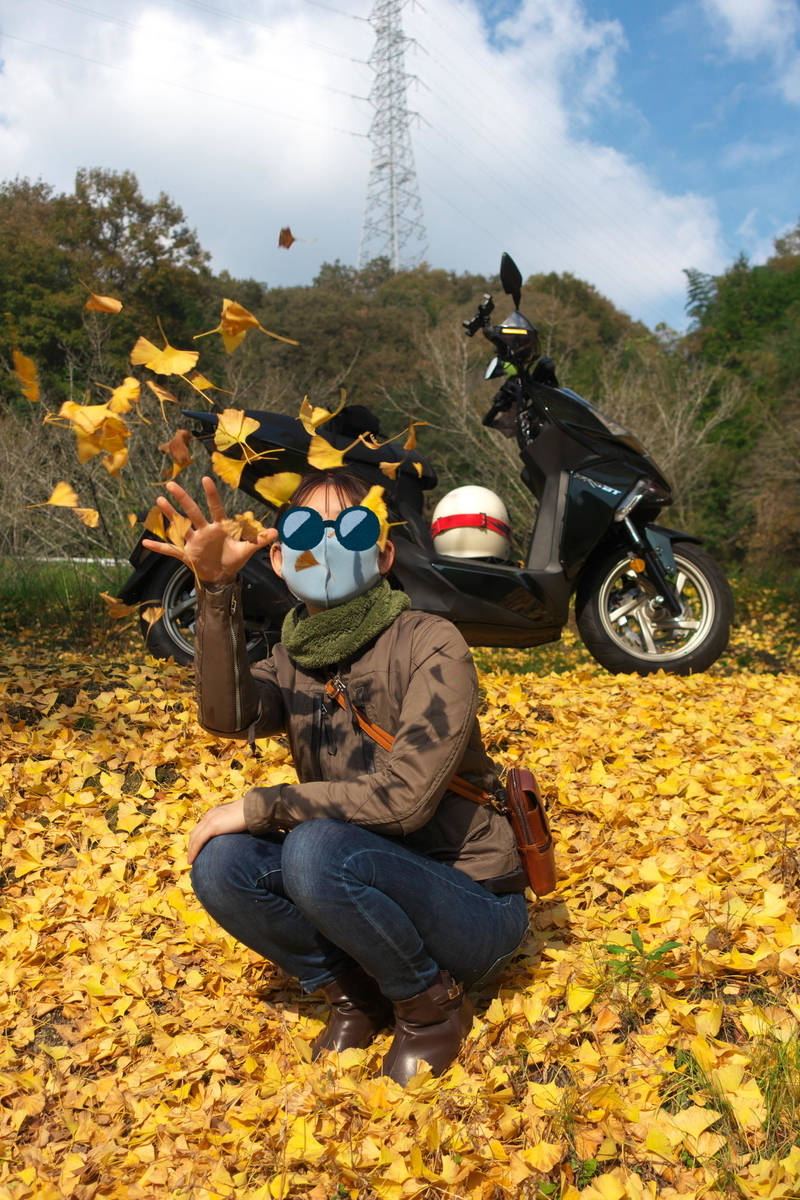 f:id:gan_jiro:20211116112050j:plain