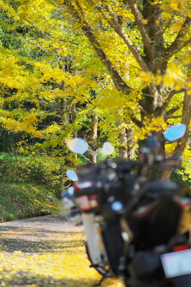 f:id:gan_jiro:20211116112407j:plain