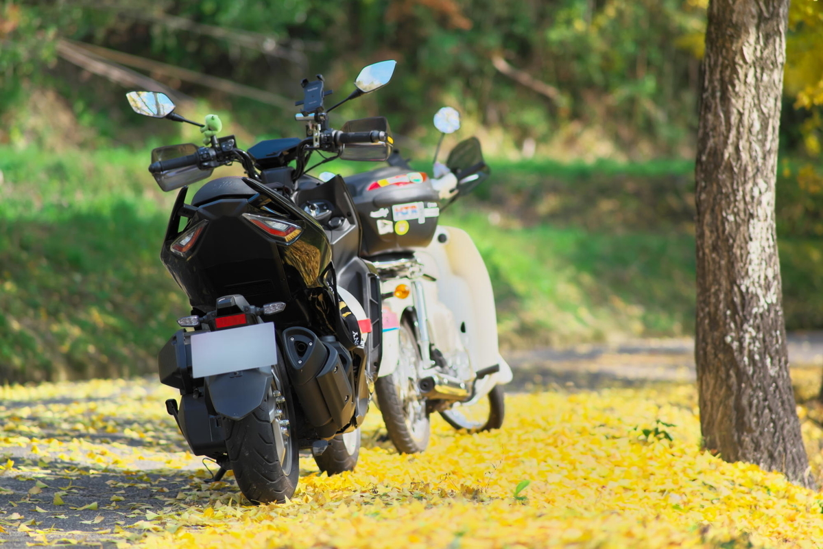 f:id:gan_jiro:20211116112946j:plain