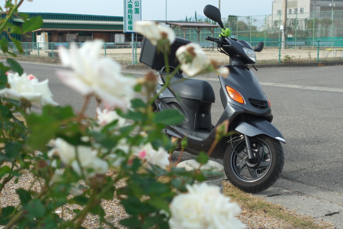 f:id:gan_jiro:20211121131225j:plain